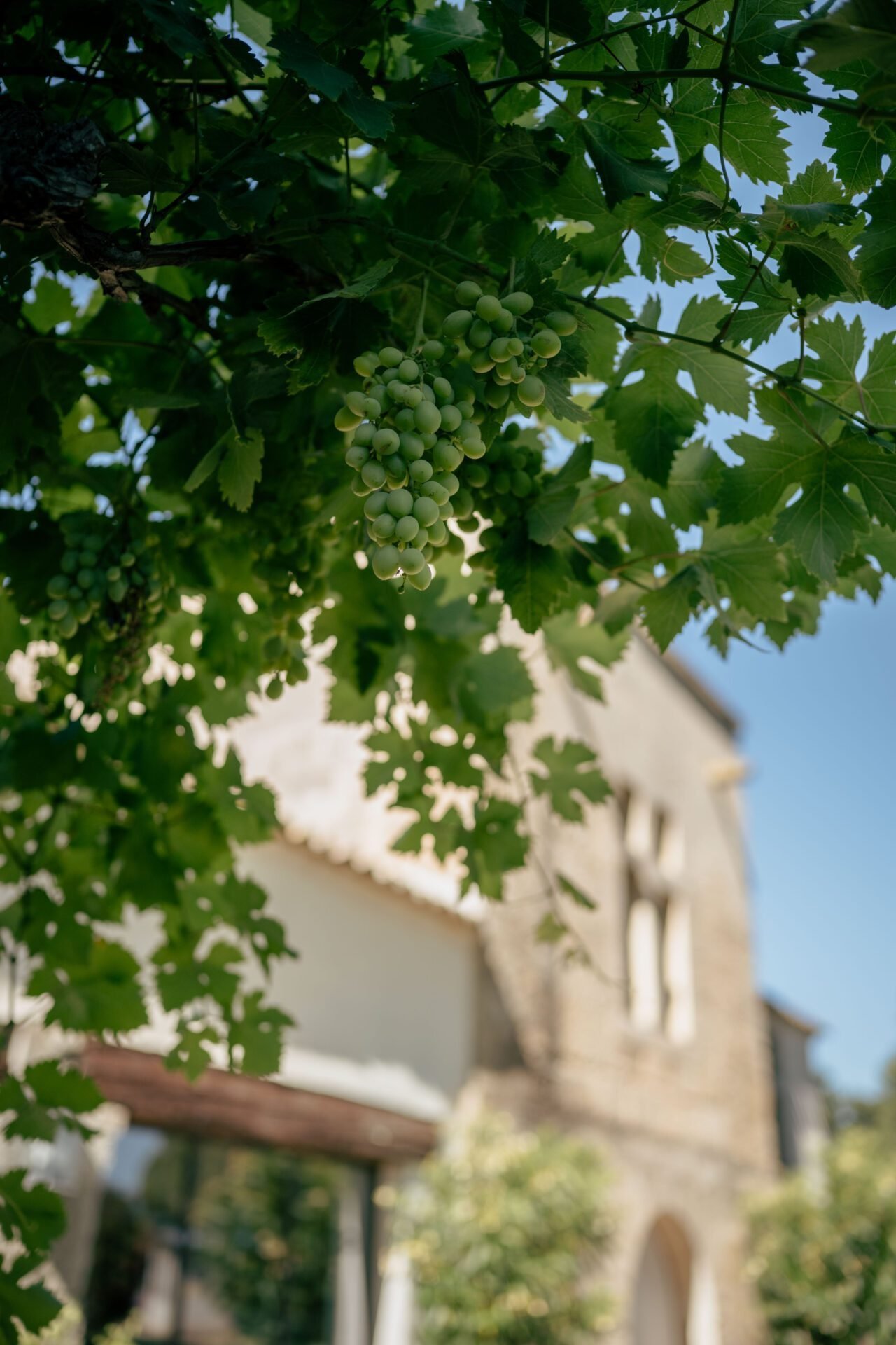 Marion & Antoine — photographie 30