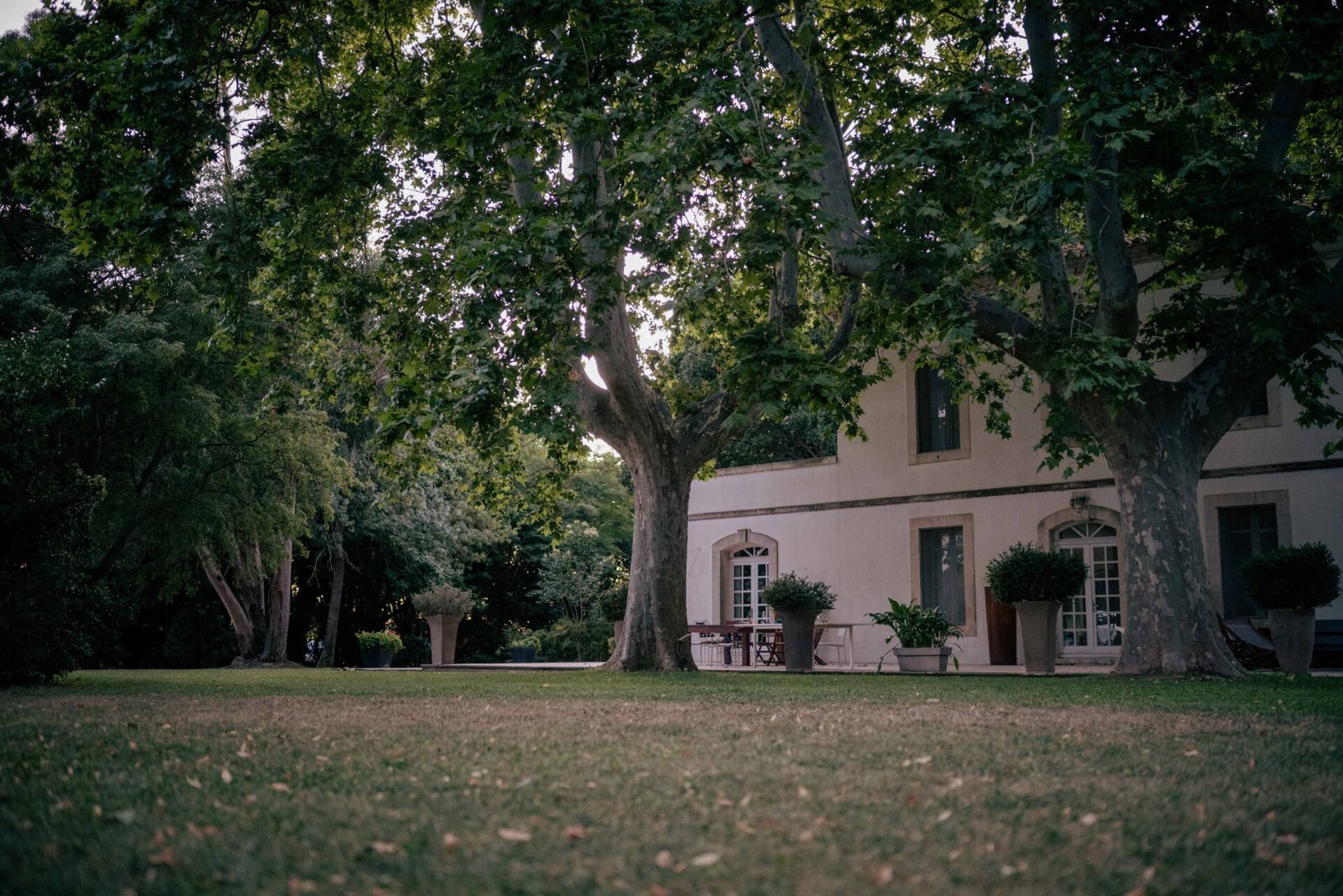 Marion & Antoine — photographie 54