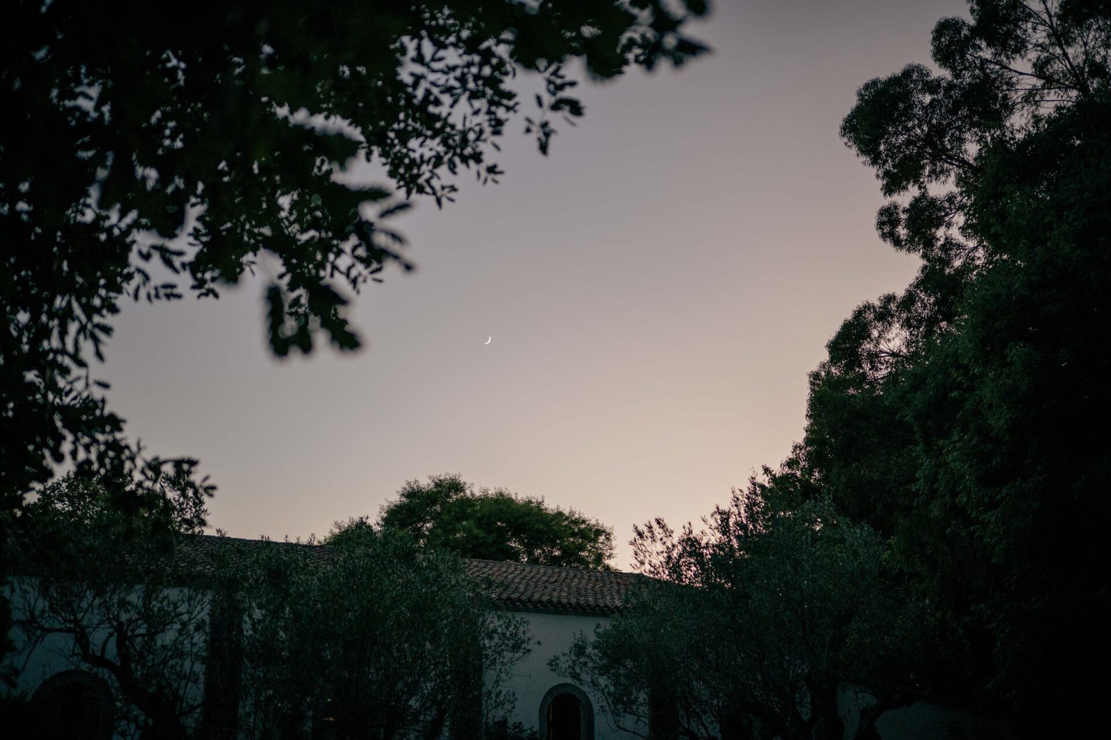 Marion & Antoine — photographie 63